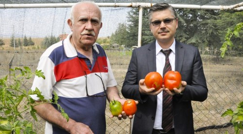Eskişehir'den tüm Türkiye'ye gidiyor...