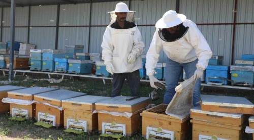 Eskişehir'e 60 milyon TL yatırım getirecek proje