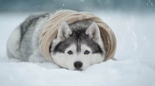 Eskişehir'e anlamlı bağış: Üşümesinler diye... 