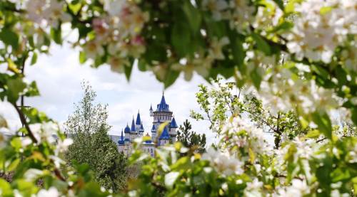 Eskişehir'e bahar geliyor: Sıcaklıklar 1-3 derece artacak!