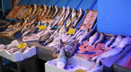 Eskişehir'e balıkçı tezgahından bir iyi, bir de kötü haber!