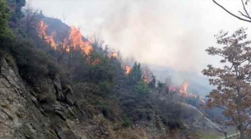 Eskişehir'e bir saat mesafedeki yangın giderek büyüyor