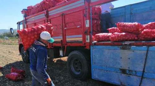 Eskişehir'e gelen soğanı koronavirüs vurdu!