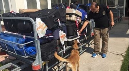 Eskişehir'e gelen yolcunun valizinde bulundu!