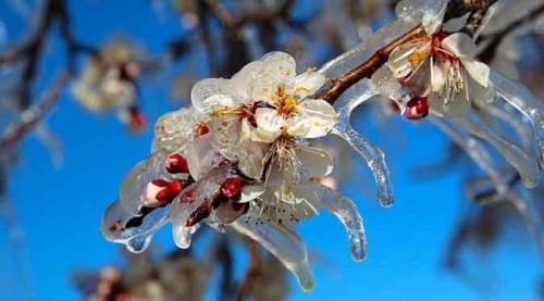 Eskişehir'e hafta sonu için önemli uyarı!