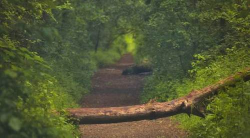 Eskişehir'e iyi ki o yasak getirildi!