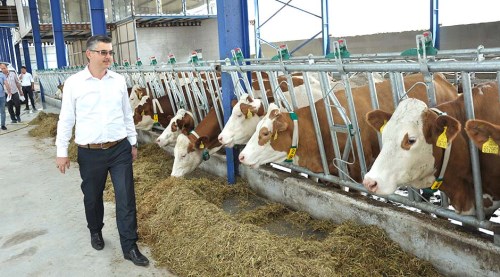 Eskişehir’e modern süt tesisleri kuruluyor 