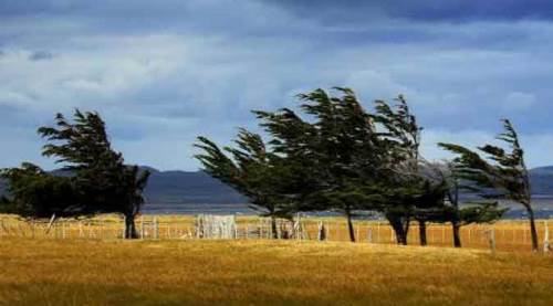 Eskişehir'e önemli uyarı: Rüzgar sizi zehirlemesin!