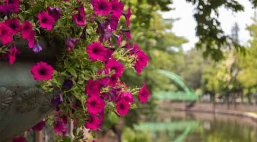 Eskişehir'e önümüzdeki hafta yaz geliyor!