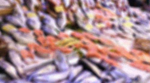 Eskişehir'e taze taze geliyor ama fiyatı cep yakıyor