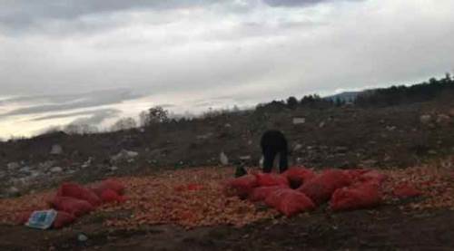 Eskişehir'e tonlarca geldi, satılamayınca...