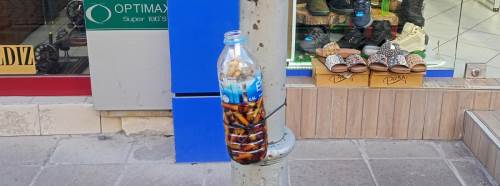 Eskişehir'e yakışmayan görüntü: Çevre kirliliği dikkat çekiyor!