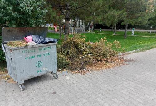 Eskişehir'e yakışmayan görüntü: Mahalleli tepkili!