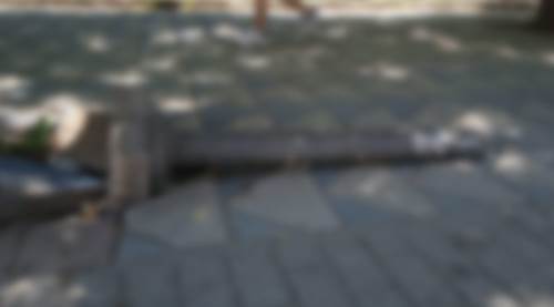 Eskişehir’e yakışmayan görüntü: Utanmadan taşımışlar!