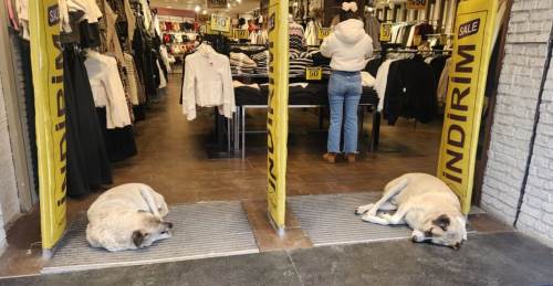 Eskişehir esnafı soğuk havada onları unutmuyor