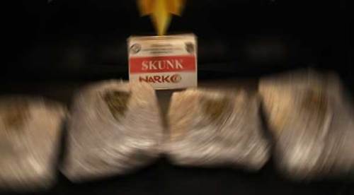 Eskişehir girişinde durdurulan araçta yakalandı