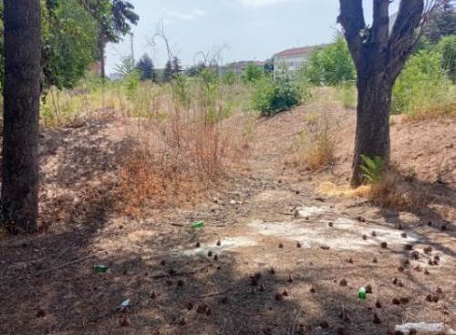 Eskişehir halkı bu alanda "güvenlik" istiyor!