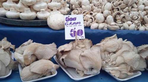 Eskişehir halkının pazardaki favorisi o: Kapışılıyor!