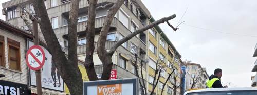 Eskişehir Hamamyolu’nda budama çalışmaları caddeye nefes aldırdı