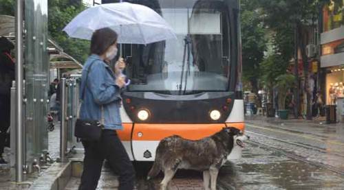 Eskişehir hava durumu: 8 Temmuz 2021