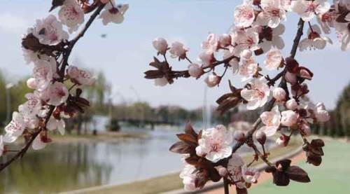 Eskişehir hava durumundan güzel haber: Bu hafta...