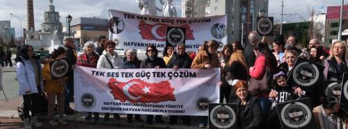 Eskişehir hayvan hakları savunucularından barınak çağrısı