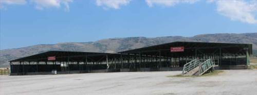 Eskişehir hayvan pazarı 27 Temmuz'da açılıyor