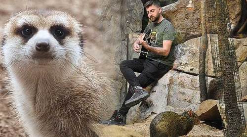 Eskişehir Hayvanat Bahçesi "eşsiz" olmayı sürdürüyor