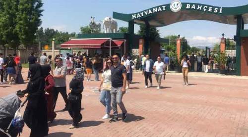 Eskişehir Hayvanat Bahçesi'ne yoğun ilgi!