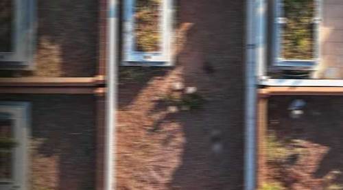 Eskişehir'i alarma geçirdi: Mezarlıkta o görüntüyü görünce...