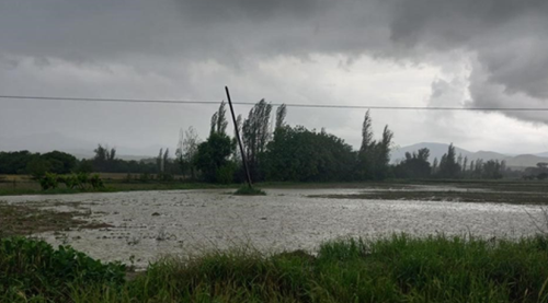 Eskişehir'i şiddetli yağış vurdu, tarım arazileri zarar gördü