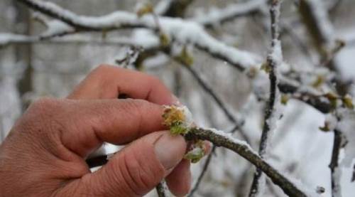 Eskişehir için meteorolojiden çok önemli uyarı! 