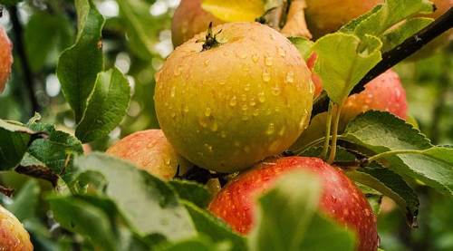 Eskişehir için önemli gelişme: O marka satışa çıkardı!