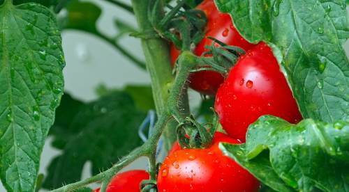 Eskişehir ilk adımı atmalı: Zehirleniyoruz!