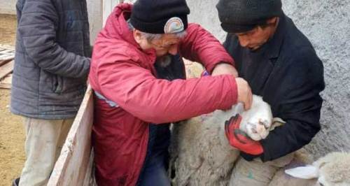 Eskişehir’in 14 ilçesinde büyük sağlık taraması!