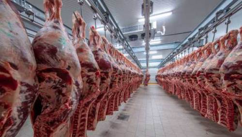 Eskişehir'in adaylarına mezbaha ve modern pazar çağrısı!