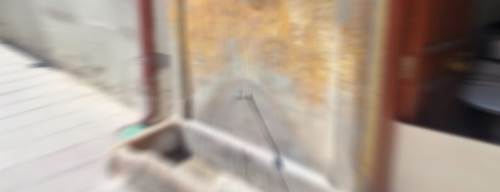 Eskişehir'in ara sokaklarındaki sürpriz: Gören fotoğrafını çekiyor 