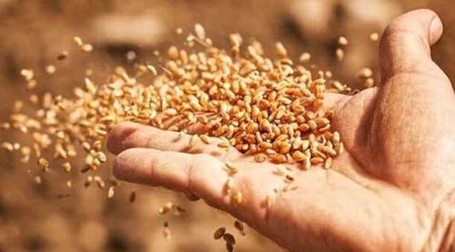 Eskişehir'in bir ilçesi daha tonlarca desteğe kavuştu!