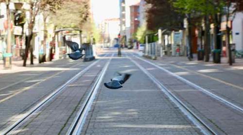 Eskişehir'in bomboş hali böyle görüntülendi