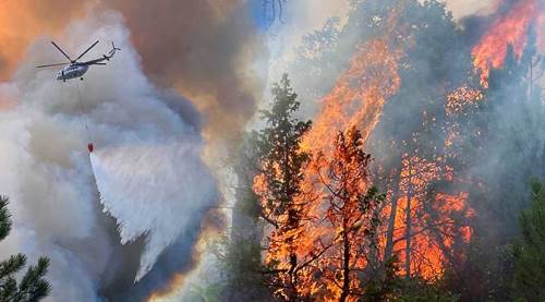 Eskişehir'in ciğerleri yanıyor! Gelen fotoğraflar çok üzücü...