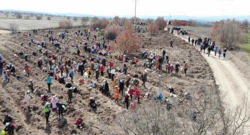 Eskişehir'in ciğerlerine yeni 8 bin fidan!