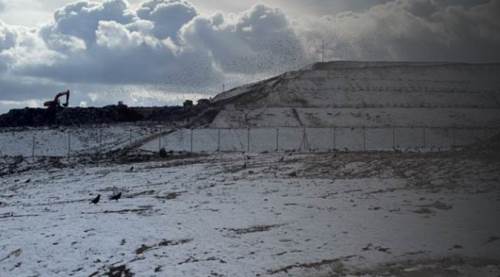 Eskişehir'in çöplüğünde bebek cesedi buldular! 