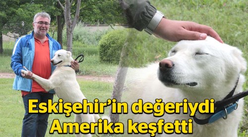Eskişehir'in değeriydi ABD keşfetti