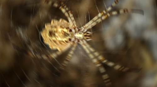 Eskişehir'in dibinde, dünyanın en zehirlisi yine ortaya çıktı!