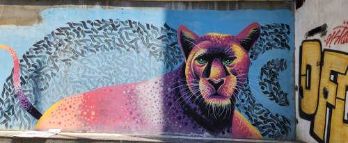 Eskişehir'in duvarları sanatla renkleniyor!