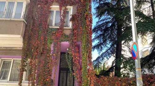 Eskişehir'in duvarlarında renk cümbüşü