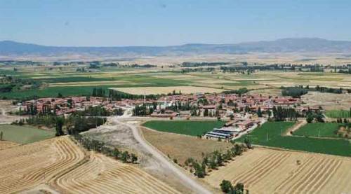 Eskişehir'in en verimli arazisine şimdi de onlar göz dikti!