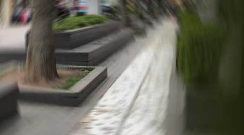 Eskişehir’in göbeğinde alışılmadık görüntü