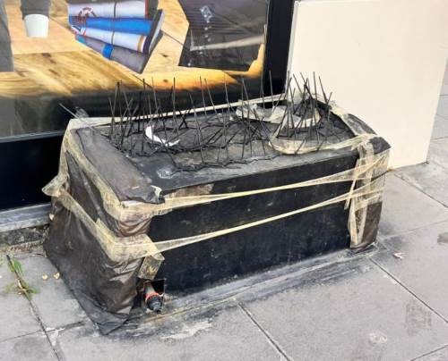 Eskişehir’in göbeğinde bir garip manzara: Gören şaşıp kalıyor