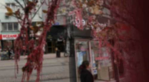 Eskişehir'in göbeğinde görenleri şaşırtan manzara! O ağaç neden kırmızıya boyandı?